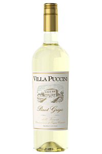 Villa Puccini Pinot Grigio — Other